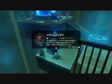 【ゼルダの伝説BotW】最終剣に憧れてBotW part27【初見実況】