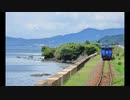 【日本の四季】夏を感じる風景