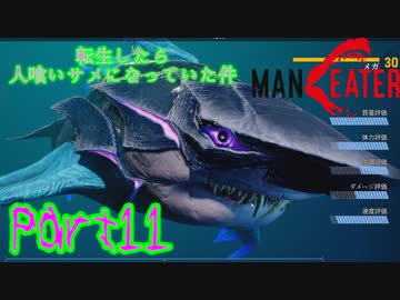 【実況】転生したら人喰いサメになっていた件【MANEATER】part11