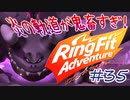 【実況】ゲームするだけでフィットネス！？#35【リングフィットアドベンチャー】