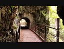 【車載動画】国道341号part5+V