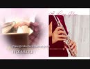 〈クラリネット＆ピアノデュオ〉FF9メドレー Rose of May&独りじゃない〈リモート演奏してみた〉