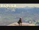 【ゼルダの伝説ブレスオブザワイルド＃17】西ハテール道中膝栗毛ぱ～とわん【はるの積みゲー崩し】
