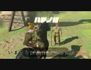 【実況プレイ】いまさらゼルダの伝説 Breath of the Wild: 25