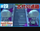 【ペーパーマリオ オリガミキング】のんびりプレイpart23【SnowSky】