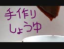手作りしょうゆ【嫌がる娘に無理やり弁当を持たせてみた息子編】