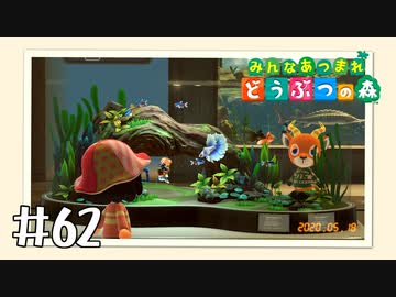 【実況】みんなあつまれ どうぶつの森 #62