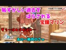 生誕祭に恥ずかしい過去を暴露される宝鐘マリン