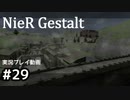 【NieR Gestalt】こんにちは狂気【part29】