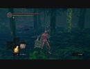 持たざる者が忘れ物をしたようです05【DARKSOULS縛りプレイ】