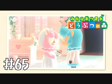 【実況】みんなあつまれ どうぶつの森 #65