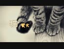 猫 アカペラ【蛍火】