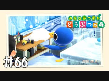 【実況】みんなあつまれ どうぶつの森 #66
