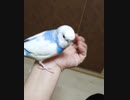 半沢直樹です