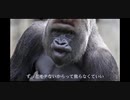 野獣先輩と見る野獣(イキ杉田ホモ和)
