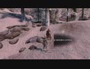 【初見】ＳｋｙｒｉｍＳＥ字幕プレイ　内戦クエスト編その９「敵指揮官へ偽の書類を渡すまで」