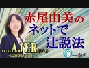 「矢作直樹先生に聞く、新コロの総括」(前半)赤尾由美　AJER2020.8.12(1)