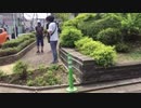 ホモと見るホモガキ2020 at野獣邸
