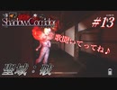 [影廊#13 DIVA、急速接近中！！[シャドウコリドー]
