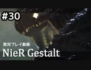 【NieR Gestalt】こんにちは狂気【part30】