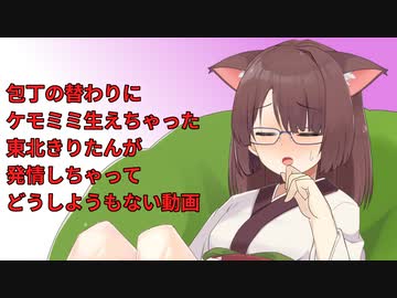 包丁の替わりにケモミミ生えちゃった東北きりたんが発情しちゃってどうしようもない動画