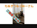 病院帰りでご機嫌ななめなみーさん