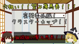 【ゆっくり競馬番外編】クラスターカップ