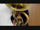『I LOVE...(Official髭男dism)』をチューバで演奏してみた。 tuba solo