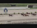 2020年8月8日高知競馬5R ＪＢＣ協会協賛高知佐賀スタリオンシリーズ ミッキーロケット賞(準重賞) パルクリール