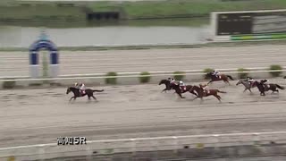 2020年8月8日高知競馬5R ＪＢＣ協会協賛高知佐賀スタリオンシリーズ ミッキーロケット賞(準重賞) パルクリール