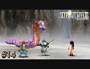 カバとイモムシのハーフって最恐過ぎじゃないですか【FINAL FANTASY IX】#14