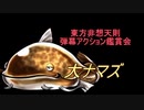 東方非想天則-弾幕アクション鑑賞会 「大ナマズ」