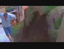 ホモと学ぶアリの巣vsガソリン.explosion