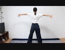 [初投稿] ハッピーシンセサイザ 踊ってみた [-とら-]