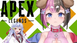 ローテンポ風APEXのはぐにき和え