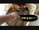 やわらかみーさん