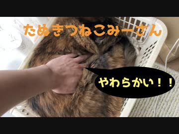 やわらかみーさん