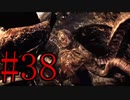 【サイコブレイク】いつの間にか謎の生物の棲家へ入っていた！？ Part38