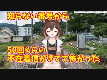 反省の色が見えない～♪野良猫【文野環/にじさんじ】