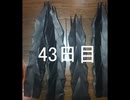 黒折り紙で千羽鶴を作っていく　43日目