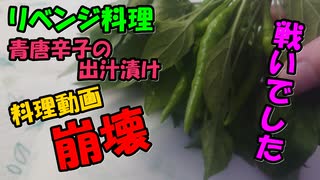 【料理】料理動画崩壊　やこまcooking【リベンジ企画】＃4