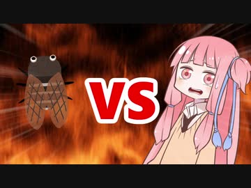 茜ちゃんVSセミ