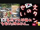 天災ムンちゃん。流石です【江戸川 media lab HUB】お笑い･面白い･楽しい･真面目な海外時事知的エンタメ