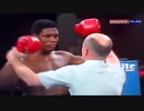 MIKE TYSON KNOCKOUT BESTFIGHT!