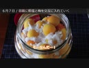 アリアの梅干し（１敗）