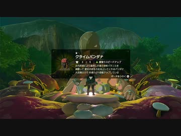 【ゼルダの伝説BotW】最終剣に憧れてBotW part30【初見実況】