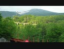 【車載動画】国道341号part6+V