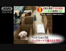 劣悪な環境で「命を軽視」ペット業者の飼育数制限へ