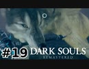 【初見実況】ゲーム下手がダークソウルをクリアするまで　リマスター版 その１９【DARK SOULS REMASTERED】