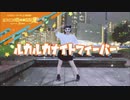【響空】ルカルカ★ナイトフィーバー【踊ってみた】